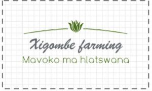 Picture of xigombe farming 