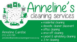 Picture of DOMESTIC CLEANER SERVICE