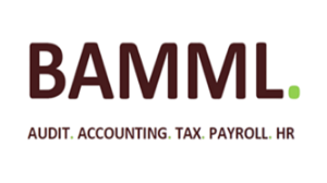Picture of Accounting, Auditing & HR