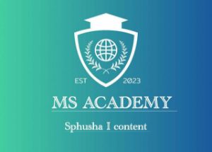 Picture of MS ACADEMY