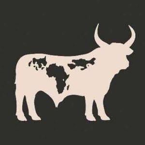 Picture of Why choose us? Get a one-of-a-kind Nguni hide today!